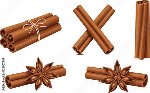 Cinnamon Sticks and Star Anise Illustration Vector Set
