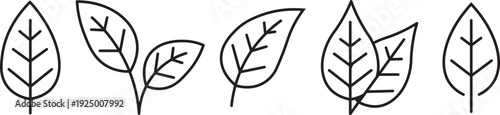 Set black line leaf icons