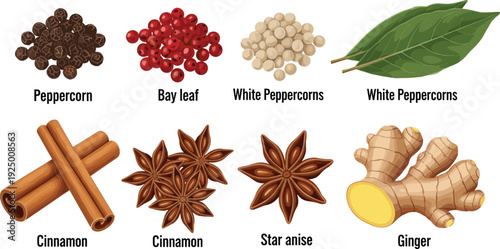 Culinary Spices Collection for Gourmet Designs and Kitchen Branding