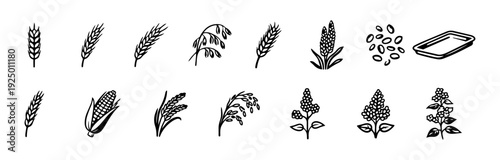 Grain and Cereal Line Icons Set Minimal Black and White Wheat Rye Rice Quinoa Collection
