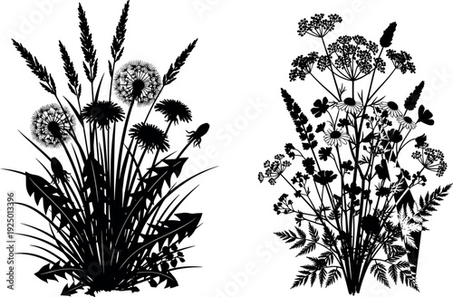 Gave me a title about this photo 'must have 20 word' for adobe stock with SEO maintain with comma

Gave me a keyword, 15 a word, 15 two word, 15 three word about this photo for adobe stock with SEO ma