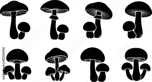 Black mushroom silhouette set with various fungi species including champignon and wild forest mushrooms for nature food and organic designs