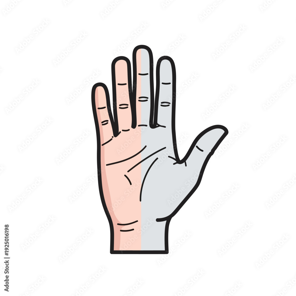 Fototapeta premium Human Hand Showing Stop Gesture with Open Palm, isolated white background.