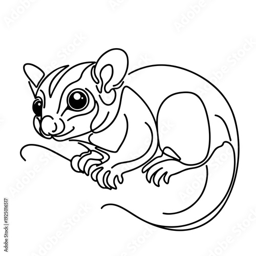 sugar glider one line art vector illustration