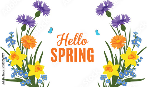 Hello Spring greeting card with colorful garden flowers, floral background with daffodils cornflowers and daisies, cad drawing flat vector illustration.