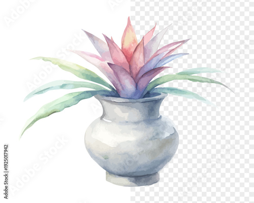 Watercolor Urn Plant Flower, Tropical Bromeliad Bloom, vector illustration isolated on white background