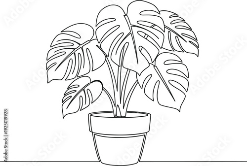 Minimalist line art drawing of a potted monstera deliciosa plant