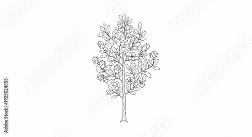 Black and white sketch of a flowering tree with many leaves and buds