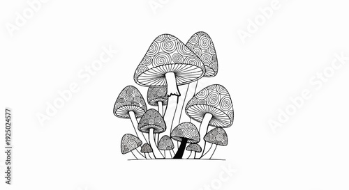 Whimsical black and white illustration of a cluster of mushrooms with spiral patterns