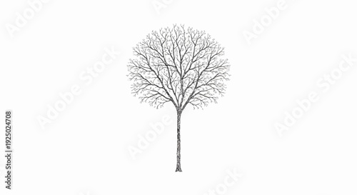 Stylized grayscale tree with delicate branches and sparse leaves