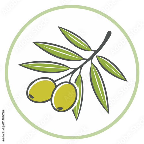 Olive Branch with Olives Green Illustration in a Circle Mediterranean Design