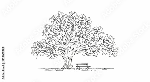 A detailed black and white sketch of a large, mature tree with a bench underneath