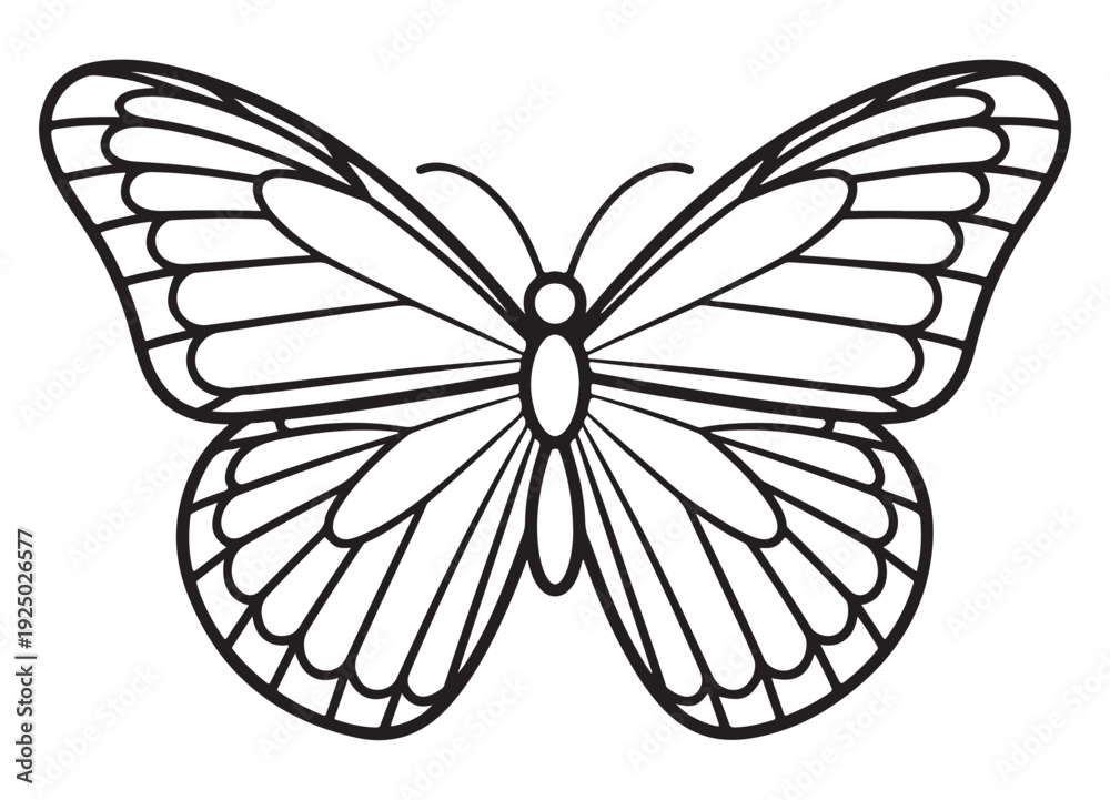 Fototapeta premium Butterfly Wings Spread Isolated on White Background