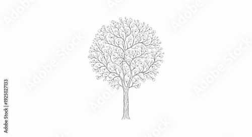 Delicate, intricately drawn tree with a rounded canopy of leaves and blossoms