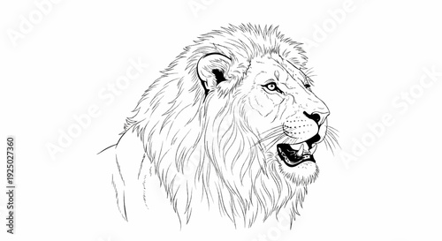 Detailed line art sketch of a lion's head with flowing mane and open mouth