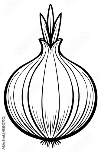 Onion Vegetable Outline Illustration Food Ingredient Cooking Simple