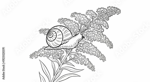 Black and white sketch of a snail crawling on a blooming flower