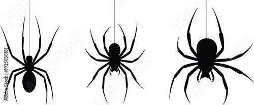 Black Spider Silhouettes Hanging on Web Threads Isolated on White Background, Creepy Halloween Arachnid Vector Illustration Set for Horror and Decorative Design