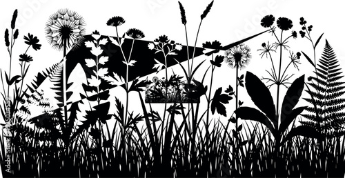 Gave me a title about this photo 'must have 20 word' for adobe stock with SEO maintain with comma

Gave me a keyword, 15 a word, 15 two word, 15 three word about this photo for adobe stock with SEO ma