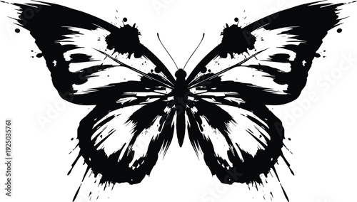 A black and white illustration of a butterfly with spread wings and detailed patterns