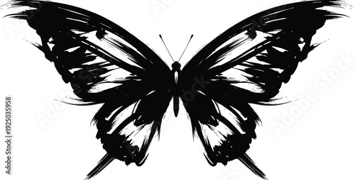 A black and white illustration of a butterfly with spread wings on a plain background