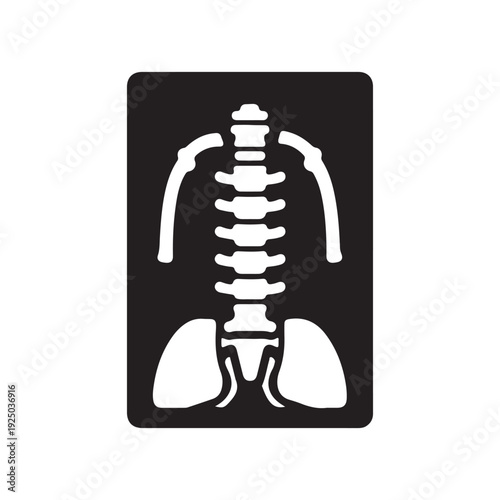 Human skeleton back xray view with ribcage and pelvis  medical illustration