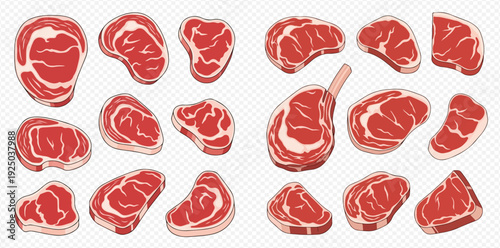 Set of various raw beef steaks and cuts, fresh meat products for cooking.