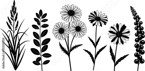 Gave me a title about this photo 'must have 20 word' for adobe stock with SEO maintain with comma

Gave me a keyword, 15 a word, 15 two word, 15 three word about this photo for adobe stock with SEO ma