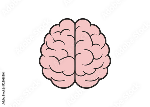 Top view of a simple human brain illustration with a light pink color