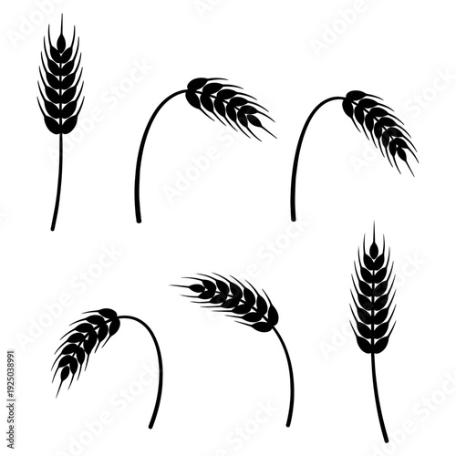 Wheat Ears Silhouette Collection - Golden Grain Stalks for Bakery and Agriculture Design