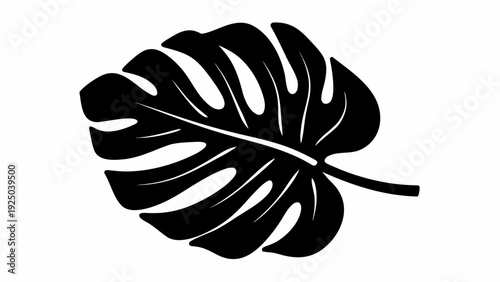 Elegant monstera leaf silhouette for modern designs