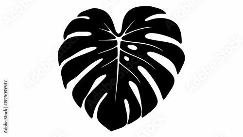 Elegant monstera leaf illustration for modern design