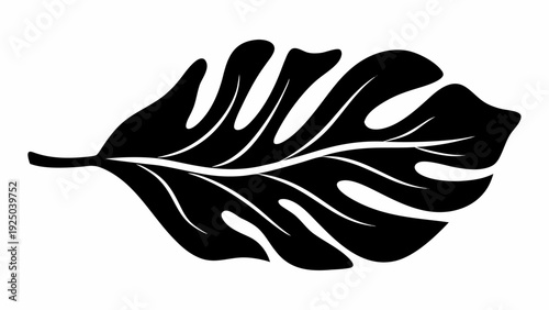 Elegant black monstera leaf silhouette