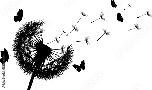 Black silhouette of a dandelion blowball and flying butterflies in a summer meadow, nature-inspired floral vector illustration.