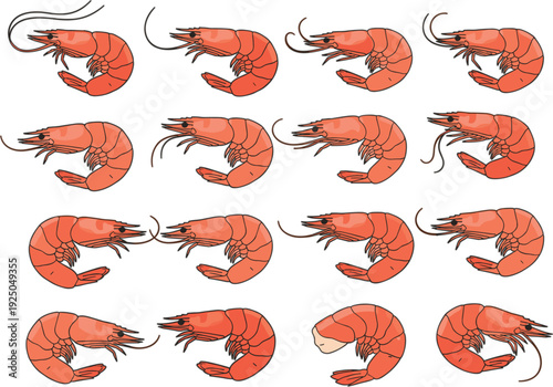 Seamless shrimp pattern, fresh seafood prawns repeating background, marine crustacean food texture for restaurant menu design vector