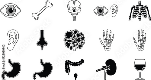 Human anatomy medical icon collection with organs skeleton and sensory symbols isolated on white background vector illustration