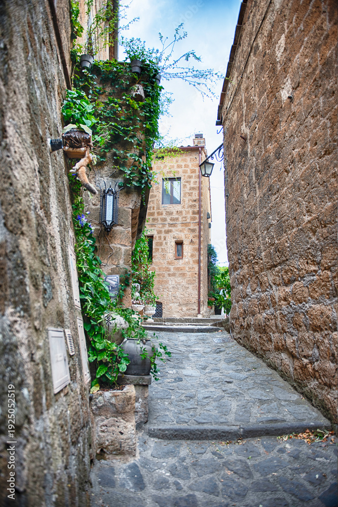 Fototapeta premium Narrow Stone Alley in Historic Civita di Bagnoregio with Lush