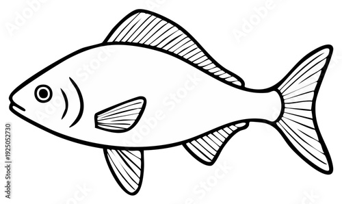 Simple outline drawing of a fish swimming marine animal for coloring and education