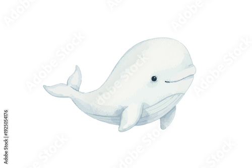 Cute Watercolor Beluga Whale Illustration.
