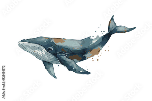 Watercolor Whale Illustration Swimming in Ocean.