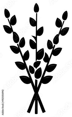 Group of Three Black Pussy Willow Branches Silhouette Isolated on White Background