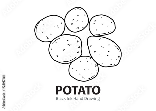 Black ink hand drawing of multiple whole potatoes, a common root vegetable, arranged in a group.