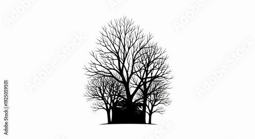 Silhouette of bare trees with a dark structure nestled within