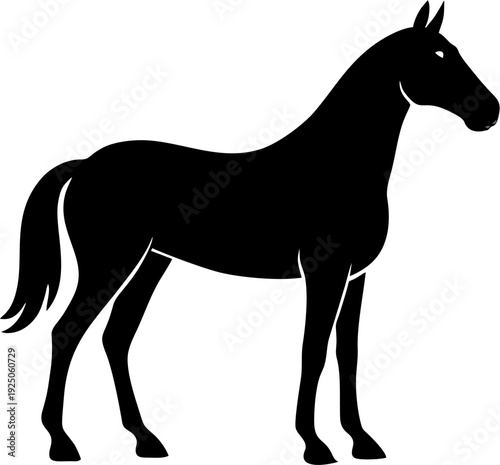 Horse and Jockey Racing Silhouette Vector Illustration on White Background