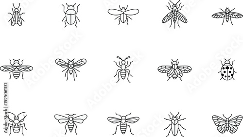 Collection of 15 black-and-white insect line drawings in grid layout, flies beetles bees ants mosquitoes butterflies, educational entomology illustration vector design art