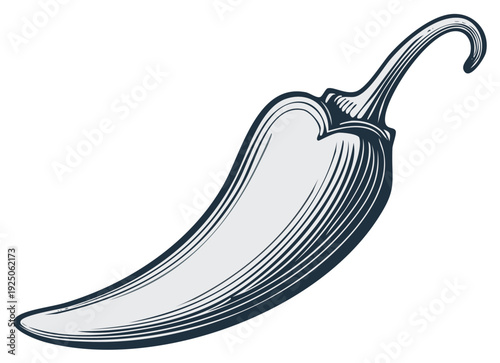 Engraved Style Illustration of a Jalapeno Pepper Isolated on White