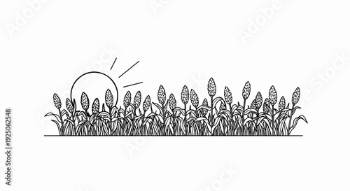 Stylized line art depicts a sun rising over a field of grain stalks