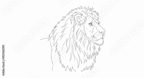 Line art sketch of a male lion's head facing right, showcasing its mane