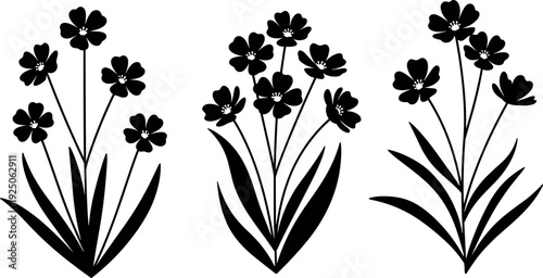 Gave me a title about this photo 'must have 20 word' for adobe stock with SEO maintain with comma

Gave me a keyword, 15 a word, 15 two word, 15 three word about this photo for adobe stock with SEO ma