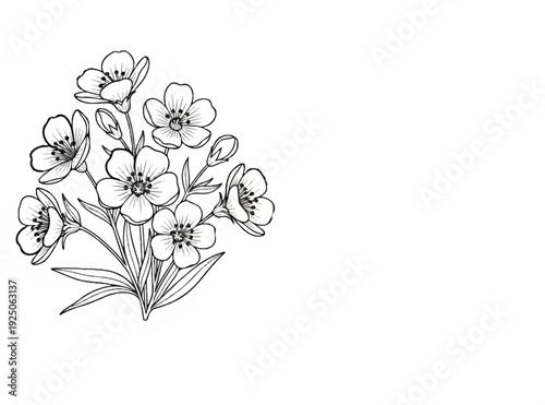 Delicate black and white sketch of a small cluster of blooming flowers